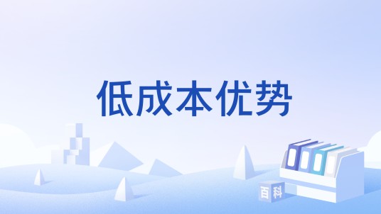 低成本优势