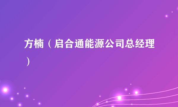 方楠（启合通能源公司总经理）