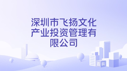 深圳市飞扬文化产业投资管理有限公司