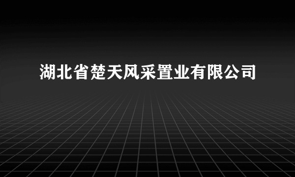 湖北省楚天风采置业有限公司