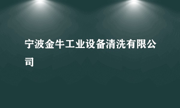宁波金牛工业设备清洗有限公司