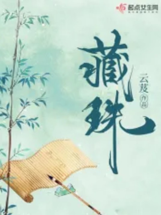 藏珠（云芨创作的古代言情类网络小说）