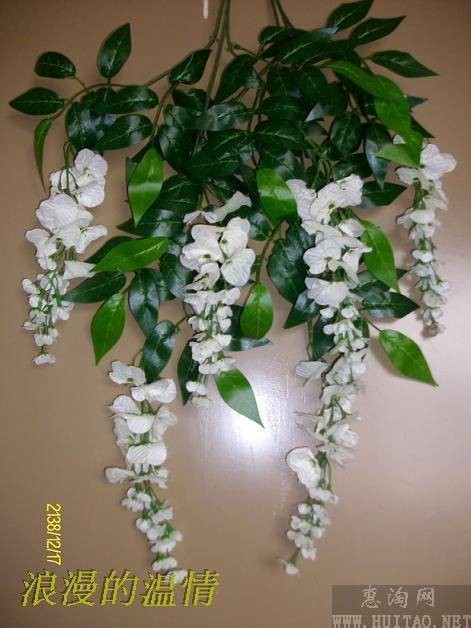 藤花