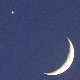 弯月会金星