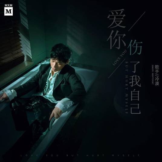 爱你伤了我自己（冷漠演唱的歌曲）