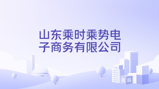 山东乘时乘势电子商务有限公司