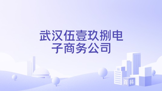 武汉伍壹玖捌电子商务公司