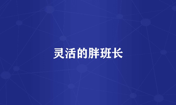 灵活的胖班长