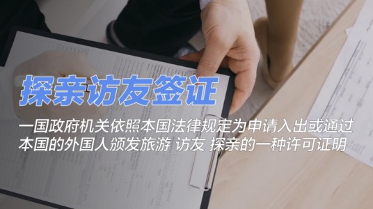 探亲访友签证