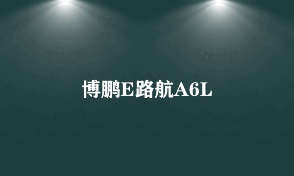 博鹏E路航A6L