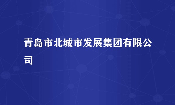 青岛市北城市发展集团有限公司