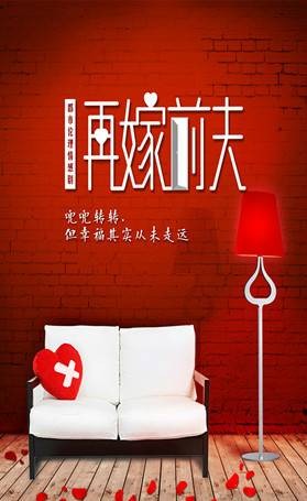 再嫁前夫（2015年陶萄执导的电视剧）