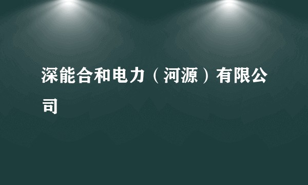 深能合和电力(河源)有限公司