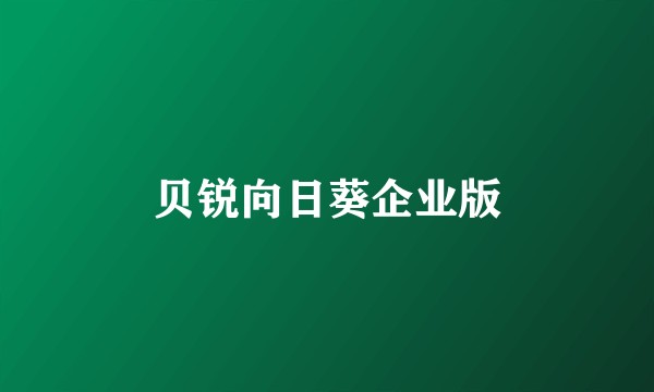 贝锐向日葵企业版