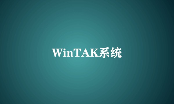 WinTAK系统