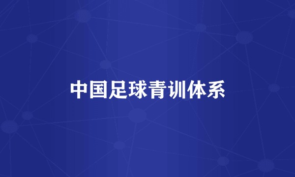 中国足球青训体系