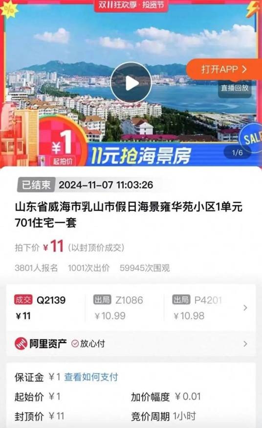 11·8女子花11元拍下海景房事件