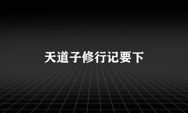 天道子修行记要下