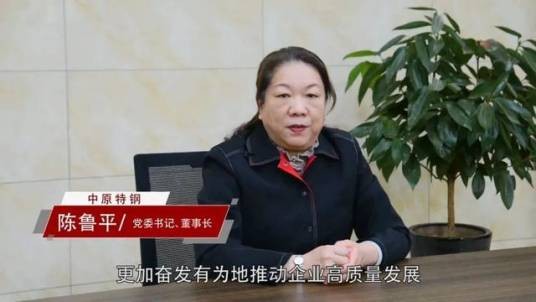 陈鲁平