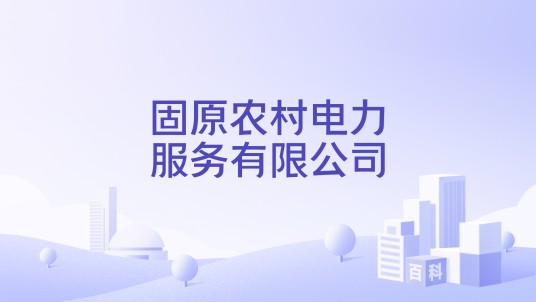 固原农村电力服务有限公司