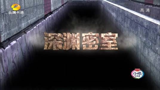深渊密室（《疯狂的麦咭》第三季中新增的关卡）