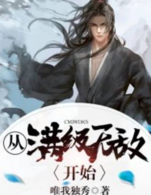 从满级无敌开始
