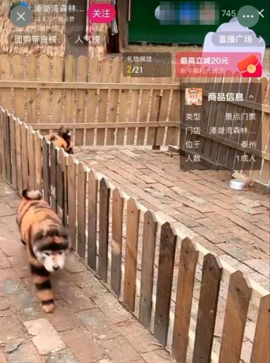 1·24泰州动物园“指狗为虎”事件