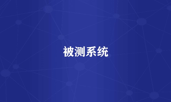 被测系统