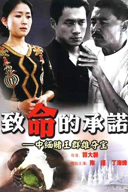 致命的承诺（2001年郭大群执导电视剧）