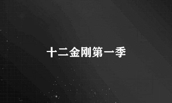十二金刚第一季