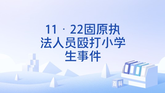 11·22固原执法人员殴打小学生事件