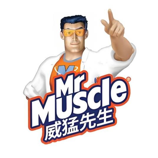 威猛先生上海庄臣