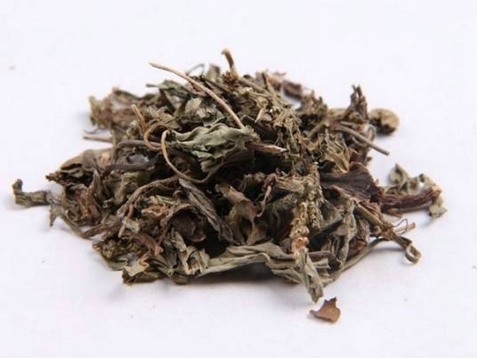 车前（中药）