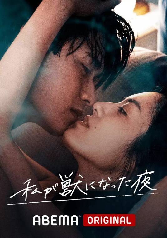 我放纵情欲的夜晚