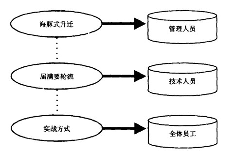 海豚式管理