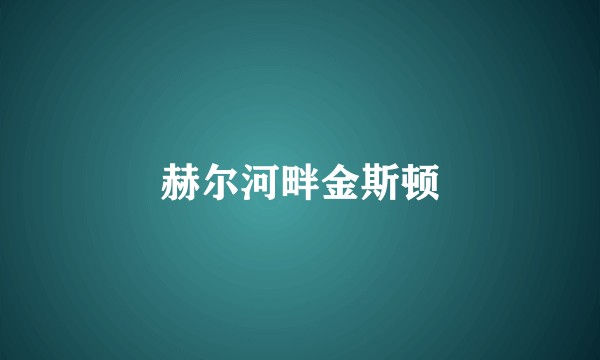 赫尔河畔金斯顿