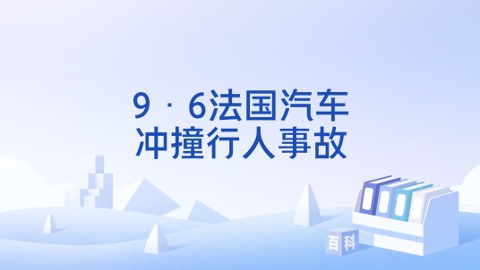 9·6法国汽车冲撞行人事故
