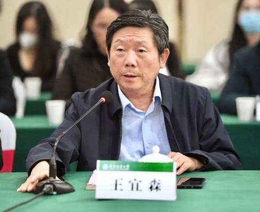 王宜森（金埔园林股份有限公司法定代表人、董事长）