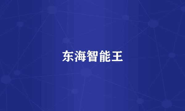 东海智能王