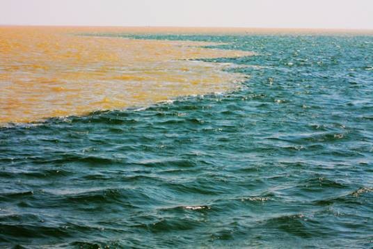 黄河之水浩瀚入海