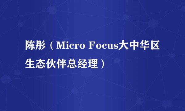 陈彤（Micro Focus大中华区生态伙伴总经理）