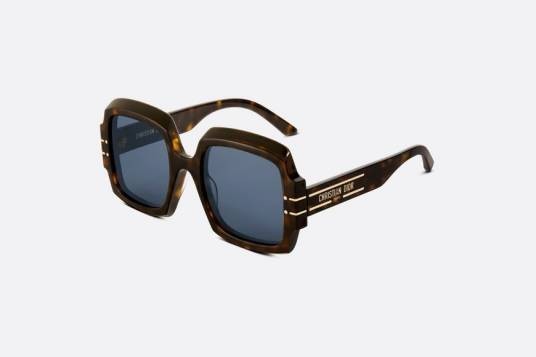 DiorSignature S1U 太阳眼镜