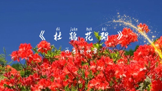 杜鹃花开（郭坤军创作的诗歌）