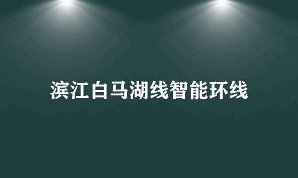 滨江白马湖线智能环线