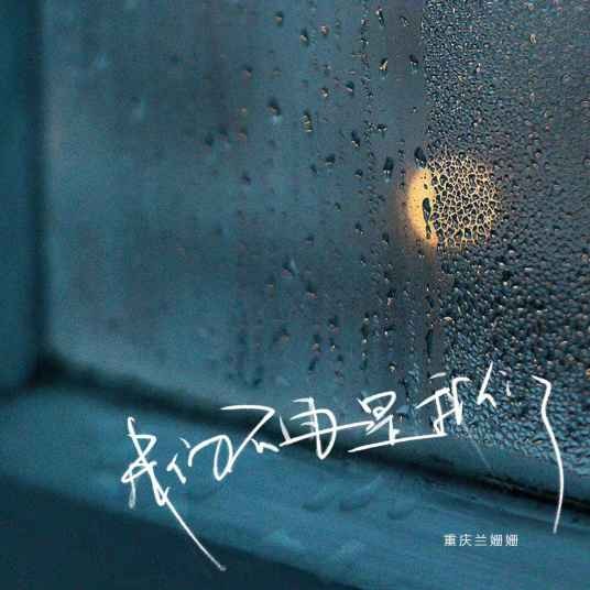 我们不再是我们（兰姗姗演唱歌曲）