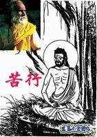 苦行(非佛教宗教用语)
