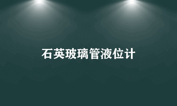 石英玻璃管液位计