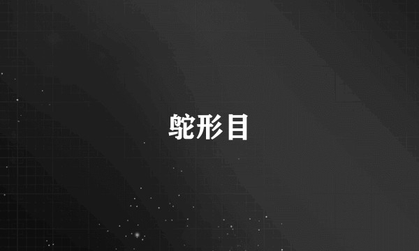 鸵形目
