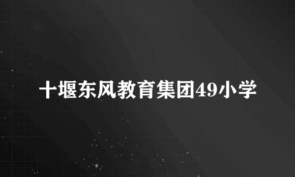 十堰东风教育集团49小学