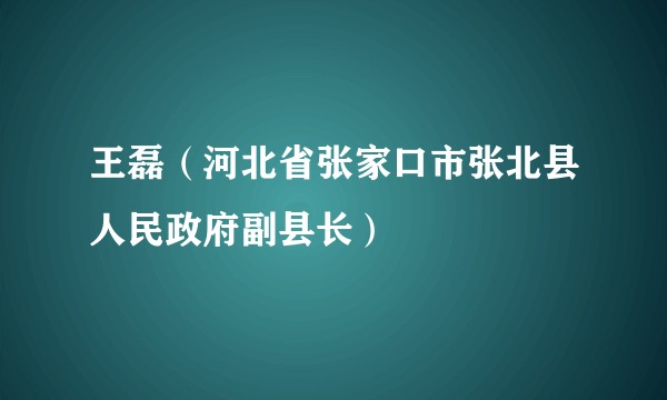 王磊（河北省张家口市张北县人民政府副县长）